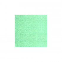 Pentart Delicate Metallic Acrylic 50 ml. - Greenish Silver