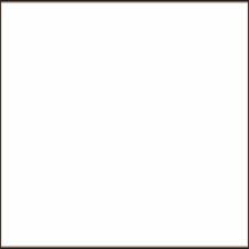 Sonnet Acrylics 120 ml. - Titanium White