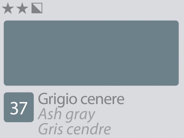 Divolo Accademia Oil Paint 20 ml. - Ash Gray