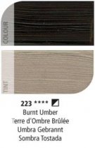 Daler-Rowney Graduate Oil Colour 38 ml. - 223 Burnt Umber