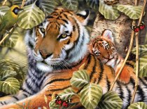 Numerowanka Format A3 (10kol.) - Portret Tygrysów