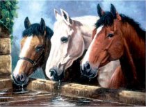Numerowanka Format A3 (10kol.) - Trzy konie