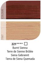 Daler-Rowney Graduate Oil Colour 38 ml. - 221 Burnt Sienna