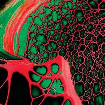 Pebeo Ultimate Pouring Medium 500 ml.