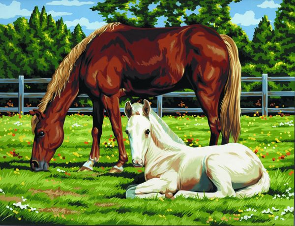 R&L Artist Canvas A3 - Horses in Field