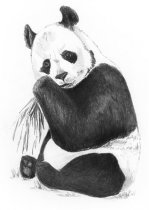 R&L Esquisse Fait Facile - 107 Panda