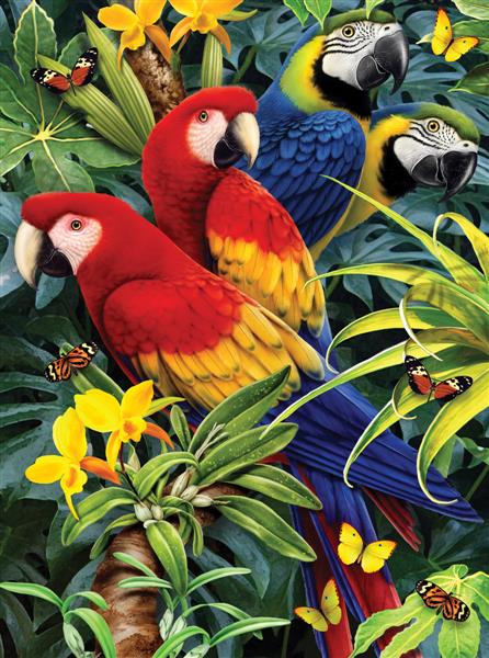R&L Junior Small A4 - 83 Majestic Macaws