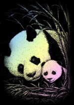 R&L Kratzbild A5  - 104 Panda Bär mit Baby