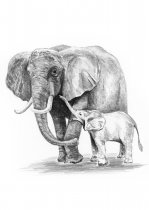 R&L Malen nach Zahlen incl. Skizzierstifte  - 111 Elefant mit Baby