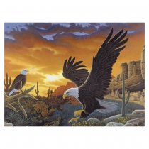 R&L Malen nach Zahlen Junior A3 - 40 Adler bei Sonnenuntergang
