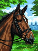 R&L Malen Nach Zahlen, Leinwandserie A4 - 8 Vollblutpferd