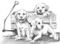 R&L Sketching Made Easy Large - 10 Puppies & Wagon