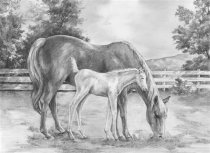 R&L Sketching Made Easy Large - 8 Horse & Colt