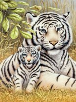 R&L Junior Small A4 - 76 White Tiger Pair