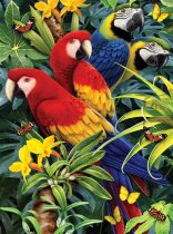 Royal & Langnickel Malen nach Zahlen PJS - 83 Papageien